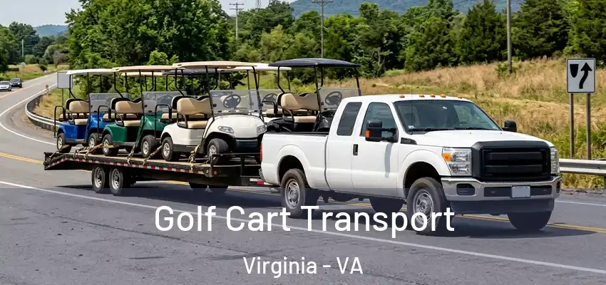 Golf Cart Transport Virginia - VA